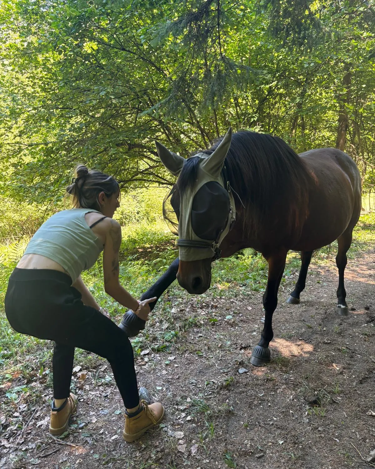 Isabelle Fourcade observe un cheval au pas lors d’une séance