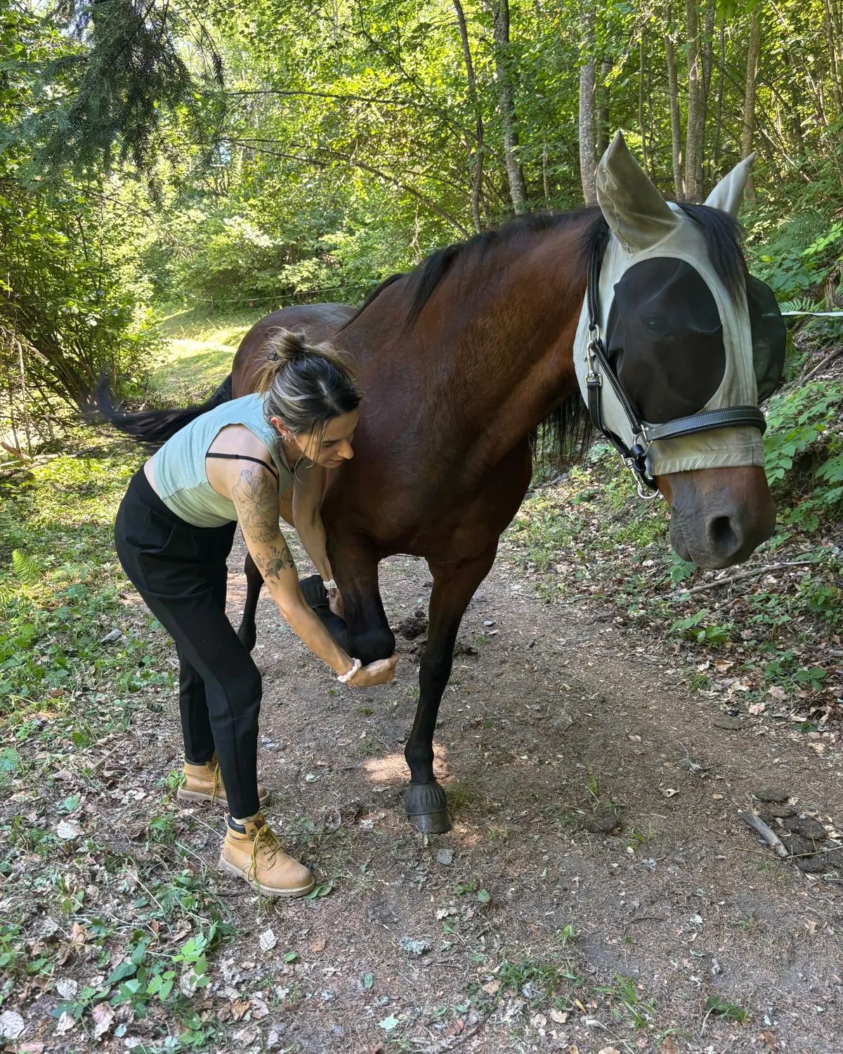 Isabelle Fourcade pose les mains sur l’encolure d’un cheval à l’écurie
